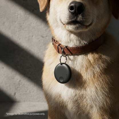 Compact Smart Tag for iOS