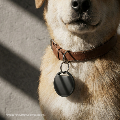 Smart Tracking Tag for iOS